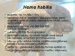 Presentations 'Homo habilis, Homo erectus', 4.