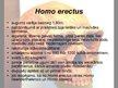 Presentations 'Homo habilis, Homo erectus', 7.