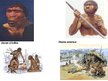 Presentations 'Homo habilis, Homo erectus', 8.