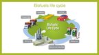 Presentations 'Biofuels', 11.