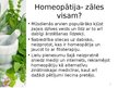 Presentations 'Homeopātijas vieta farmācijā', 2.