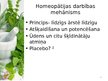 Presentations 'Homeopātijas vieta farmācijā', 6.
