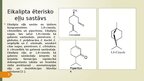 Presentations 'Eikaliptu ēteriska eļla', 3.