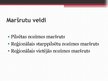 Research Papers 'Sabiedriskā transporta izmantošanas politika Latvijā', 29.