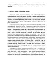 Term Papers 'Iedzīvotāju ekonomiskā migrācija Latvijā un ES valstīs', 11.