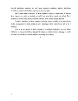 Term Papers '4 - 5 gadus vecu bērnu intereses par dabu veidošanās rotaļās', 11.