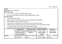 Practice Reports 'Mūzikas aktīvās klausīšanās ietekme uz  5-6 gadīgu bērnu emocionālo attīstību', 13.