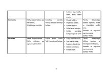 Practice Reports 'Mūzikas aktīvās klausīšanās ietekme uz  5-6 gadīgu bērnu emocionālo attīstību', 15.