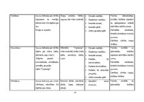 Practice Reports 'Mūzikas aktīvās klausīšanās ietekme uz  5-6 gadīgu bērnu emocionālo attīstību', 24.