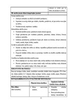 Practice Reports 'Mūzikas aktīvās klausīšanās ietekme uz  5-6 gadīgu bērnu emocionālo attīstību', 33.