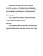 Research Papers 'Vispārējā datorizācija: pozitīvais un negatīvais', 6.
