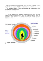 Summaries, Notes '7 cilvēka ķermeņi', 3.