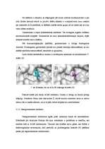Research Papers 'Acetilholīnesterāzes saistība ar ligandiem', 12.