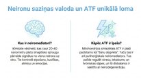 Presentations 'Adenozīntrifosfāts kā smadzeņu un ķermeņa signālmolekula', 2.