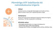 Presentations 'Adenozīntrifosfāts kā smadzeņu un ķermeņa signālmolekula', 9.