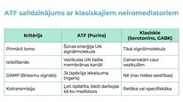 Presentations 'Adenozīntrifosfāts kā smadzeņu un ķermeņa signālmolekula', 12.
