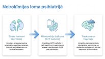 Presentations 'Adenozīntrifosfāts kā smadzeņu un ķermeņa signālmolekula', 15.