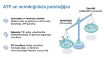 Presentations 'Adenozīntrifosfāts kā smadzeņu un ķermeņa signālmolekula', 16.