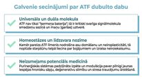 Presentations 'Adenozīntrifosfāts kā smadzeņu un ķermeņa signālmolekula', 24.
