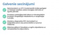Presentations 'Adenozīntrifosfāts kā smadzeņu un ķermeņa signālmolekula', 25.