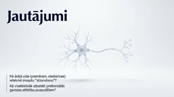 Presentations 'Pusaudžu smadzeņu neirobioloģija', 14.
