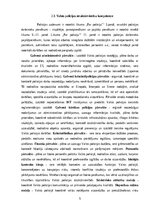 Research Papers 'Reidi izglītības iestādēs', 5.