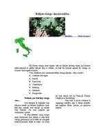 Research Papers 'Itālijas vīnu rūpniecība un tradīcijas', 4.