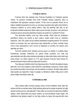 Essays 'Pārvalde un sociālā struktūra Venēcijā/Dženovā', 5.