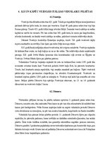 Essays 'Pārvalde un sociālā struktūra Venēcijā/Dženovā', 8.