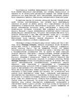 Research Papers 'Интернет и средства массовой коммуникации', 5.