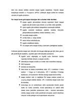 Research Papers 'Multimedia un dators', 31.