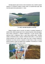 Term Papers 'Biogāzes ražošana un izmantošana notekūdeņu attīrīšanas iekārtu kompleksā', 33.