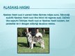 Presentations 'Haski suņi', 6.