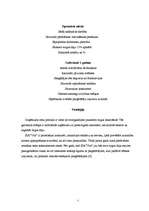 Research Papers 'Uzņēmuma - SIA ”Vita” analīze', 5.