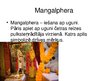 Presentations 'Indiešu kāzu tradīcijas', 9.