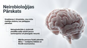 Presentations 'Jaunu prasmju apguves neirobioloģija', 2.