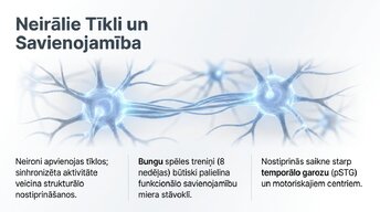 Presentations 'Jaunu prasmju apguves neirobioloģija', 9.
