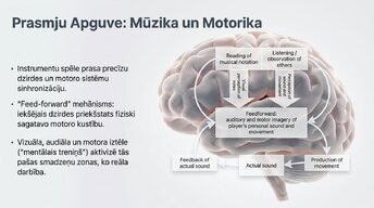 Presentations 'Jaunu prasmju apguves neirobioloģija', 11.