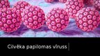 Presentations 'Cilvēka papilomas vīruss', 1.