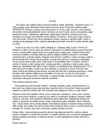 Practice Reports 'Pirmsskolas pedagoģiska prakse dienasgramata', 2.