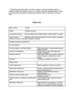 Practice Reports 'Pirmsskolas pedagoģiska prakse dienasgramata', 5.