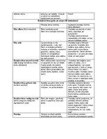 Practice Reports 'Pirmsskolas pedagoģiska prakse dienasgramata', 7.