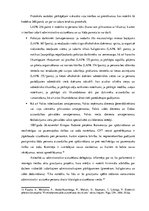 Term Papers 'Cilvēktiesību ievērošana, aizturot personas par likumpārkāpumu izdarīšanu', 11.