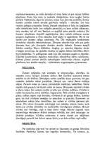 Research Papers 'Ēģipte un Divupe', 14.
