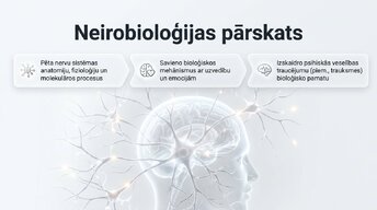 Presentations 'Kognitīvo funkciju un smadzeņu arhitektūras izmaiņas', 2.