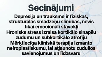 Presentations 'Kognitīvo funkciju un smadzeņu arhitektūras izmaiņas', 14.