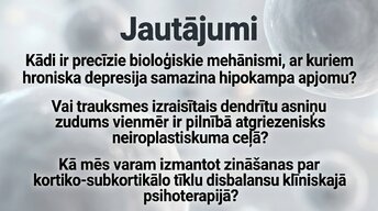 Presentations 'Kognitīvo funkciju un smadzeņu arhitektūras izmaiņas', 16.