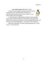 Research Papers 'Linux instalācija un tā konfigurēšana', 45.