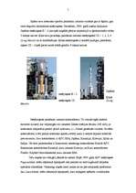 Research Papers 'Kosmiskie lidaparāti. (Zemes mākslīgie pavadoņi, kosmiskie kuģi, orbitālās un st', 7.