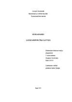Research Papers 'Lauksaimniecība Latvijā', 13.